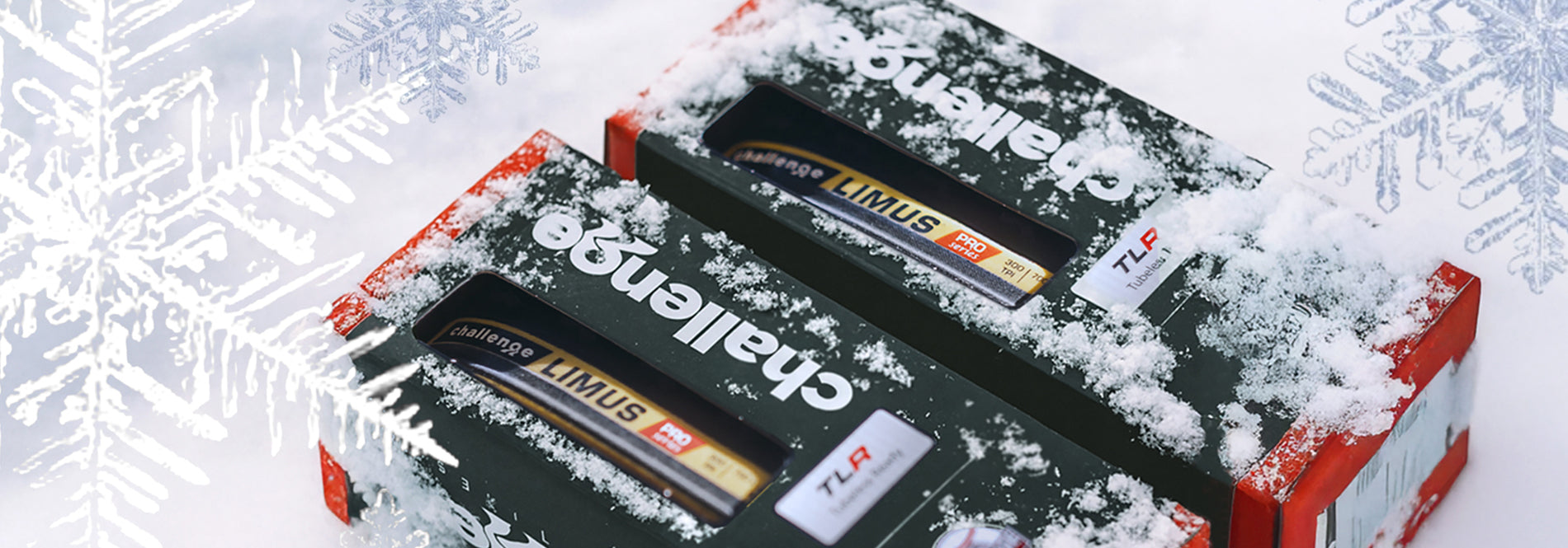 Winter Holiday Event