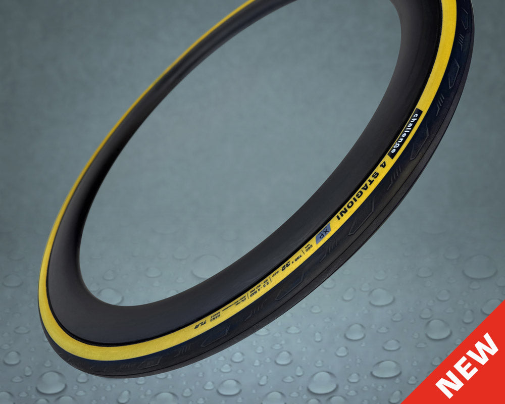 4 STAGIONI XP - Handmade TLR