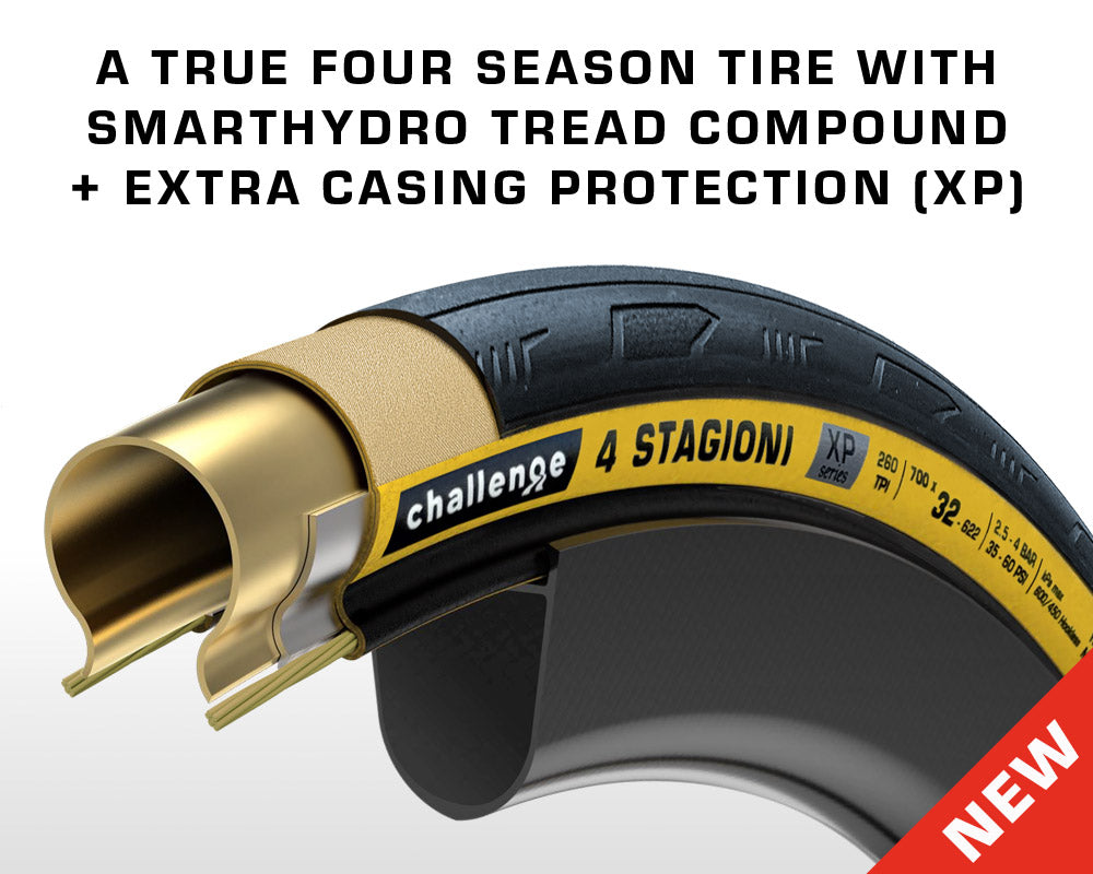 4 STAGIONI XP - Handmade TLR