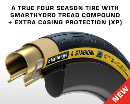 4 STAGIONI XP - Handmade TLR