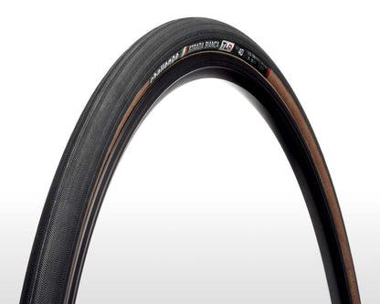 STRADA BIANCA Race - TLR