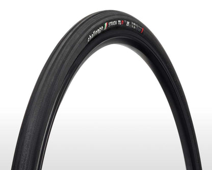 STRADA Race - TLR
